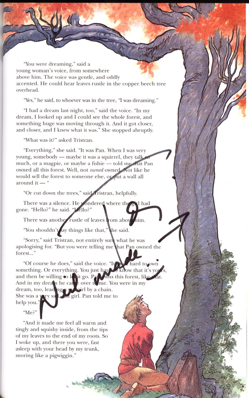Stardust signed by Tori Amos Copyright DC Comics / Michael Heiker